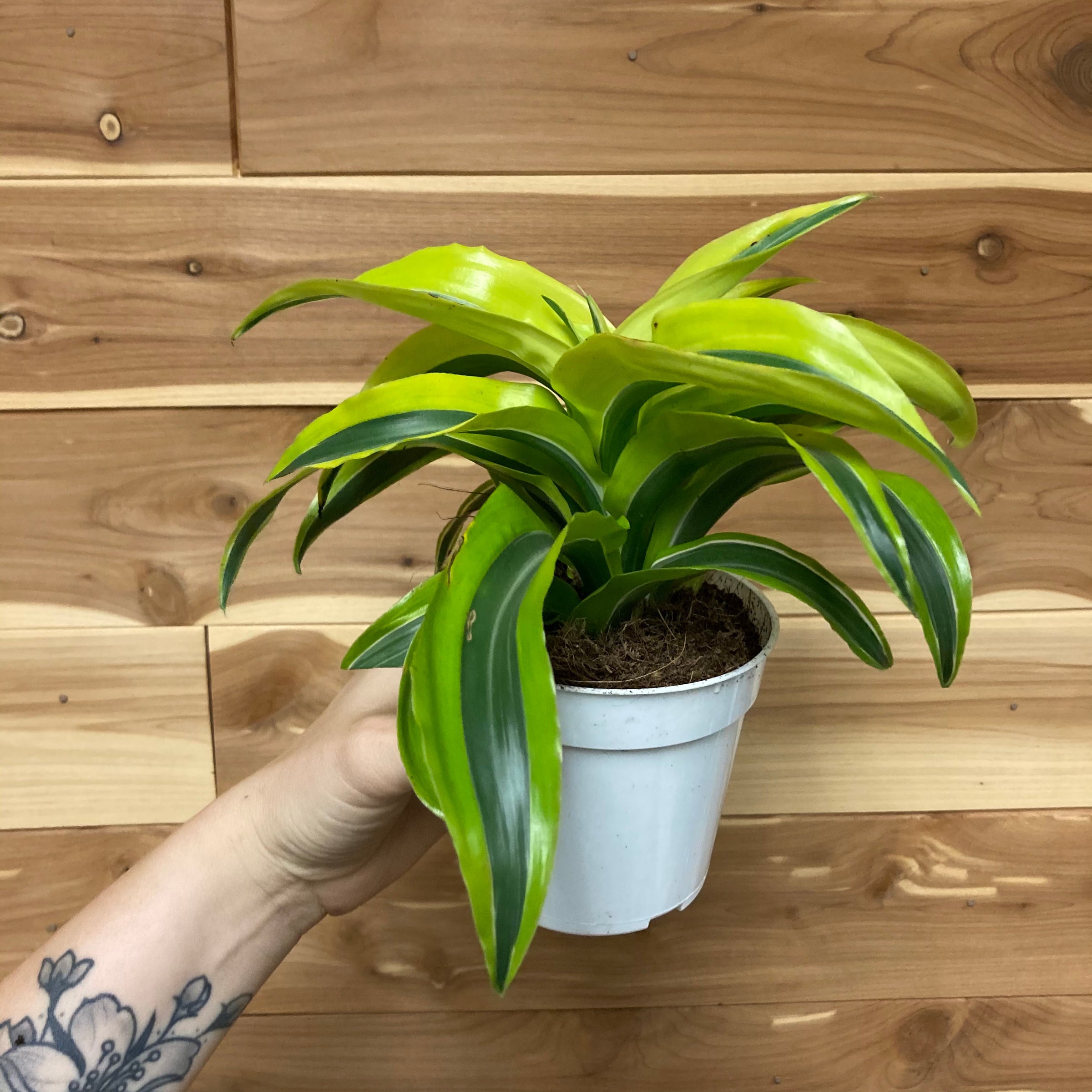 best faux philodendron Artificial Plants Hanging Philodendron Bush