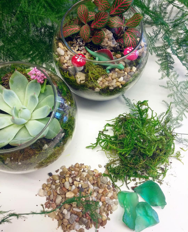 Terrarium Party Kits ToGo Ephemera Terrariums & Plant Shop