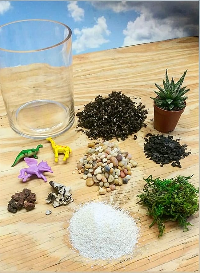 Terrarium Kit Cylinder Terrarium Ephemera Terrariums & Plant Shop